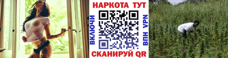 Где продают наркотики Снежинск Амфетамин Меф Марихуана COCAIN