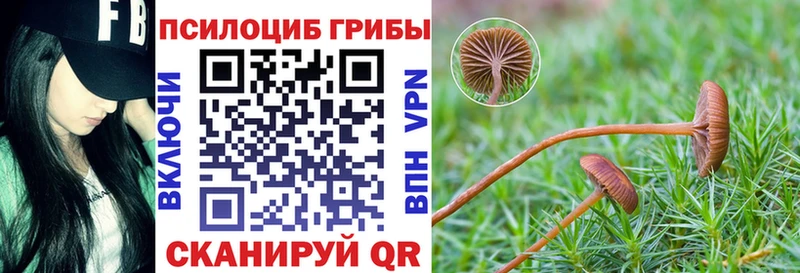 Галлюциногенные грибы мухоморы  наркотики  Снежинск 